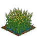 Double Grain 100
