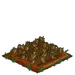 Red Spinach withered