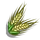 Double Grain-icon