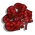 Red Spinach-icon
