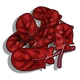 Red Spinach-icon