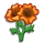 Sun Poppy-icon