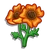 Sun Poppy-icon