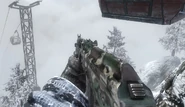 AK74u Woodland BO