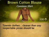 Brown Cotton Blouse