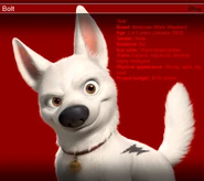 Bolt wonderful