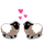 Kissing Sheep