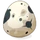 Piwilde eggs