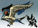 Falcon1