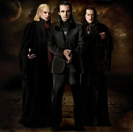VolturiBrothers