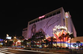 Flamingo