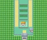 Kanto Route 5