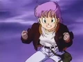 Bulma(PtP)