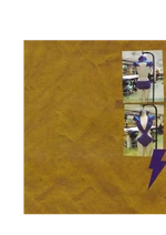 BOG 042