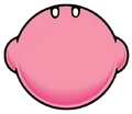 KNIDKirbytop