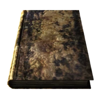 Ruined book