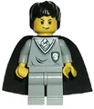 Tom Riddle LEGO.jpg