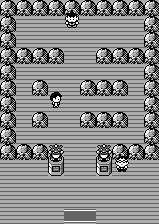 Pewter Gym RB
