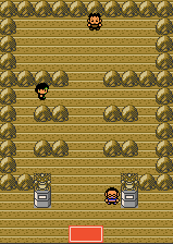 Pewter Gym GS