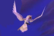 HyjalOwl