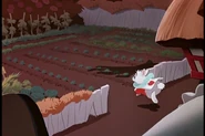 Alice200