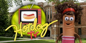 HDTV Logo