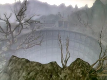 The Shadow Court