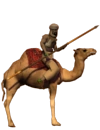 CavalryEmirates1.png