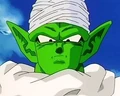 Piccolo36