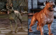SimpleDogAndMabari