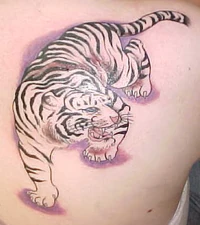 Animal1