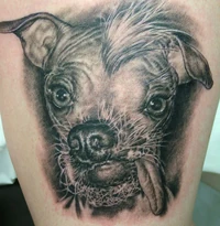 Animal5