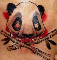 Animal8
