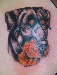 Animal7