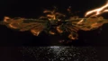 GvM12