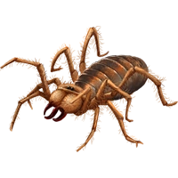 Huge item sunspider 01.png