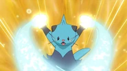 Dewott Razor Shell