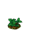 Peppermint Seedling-icon.png