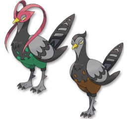 pokemon pokemon