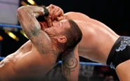 Survivor Series 2010..47