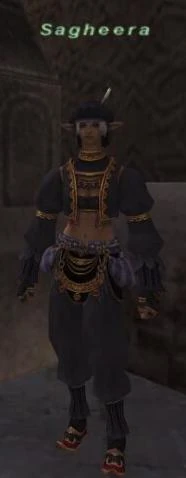 Sagheera.jpg