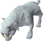 Sabre-toothed kyatt