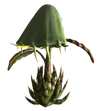 Spore plant