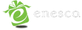 Enesco logo.png