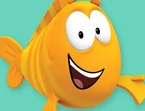 Mr. Grouper2