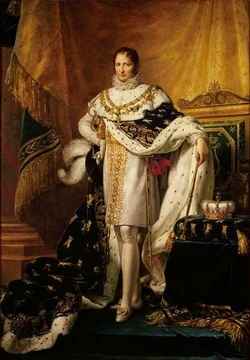 napoleon bonaparte i timeline
