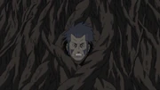 Binding Nest