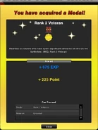Rank 2 Veteran