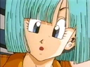 Bulma4