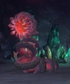 Corborus.jpg